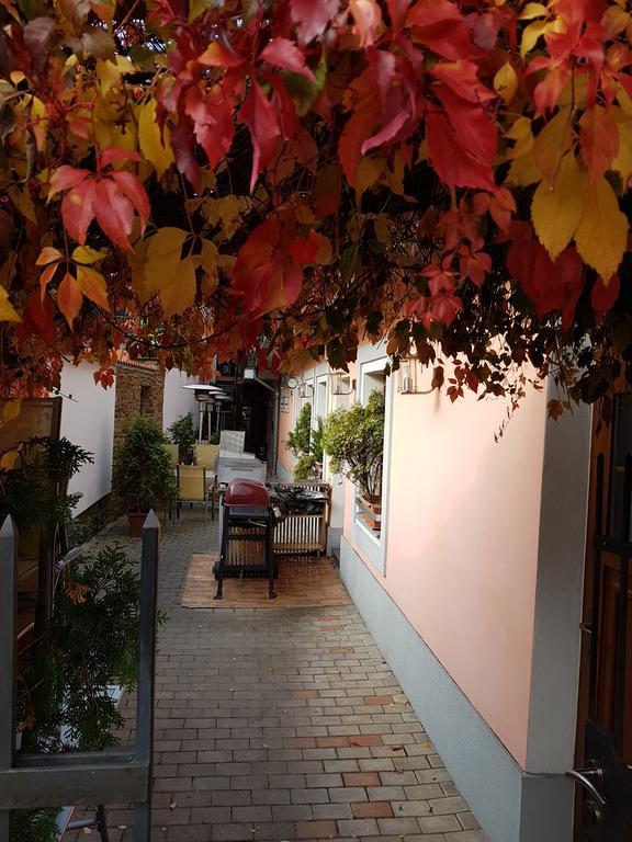 Alex Pension Prešov Exteriér fotografie